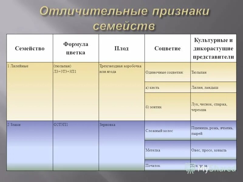 Семейство злаковые таблица. Таблица по семействам однодольных растений. Класс Однодольные 6 класс биология таблица. Семейства однодольных растений таблица 6 класс. Таблица семейства однодольных растений 6 класс биология.