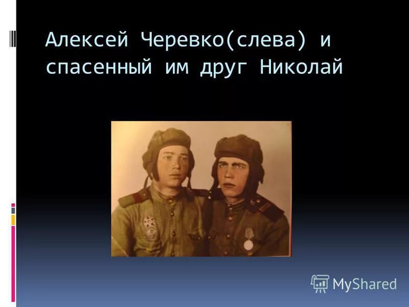 Лучший друг николая