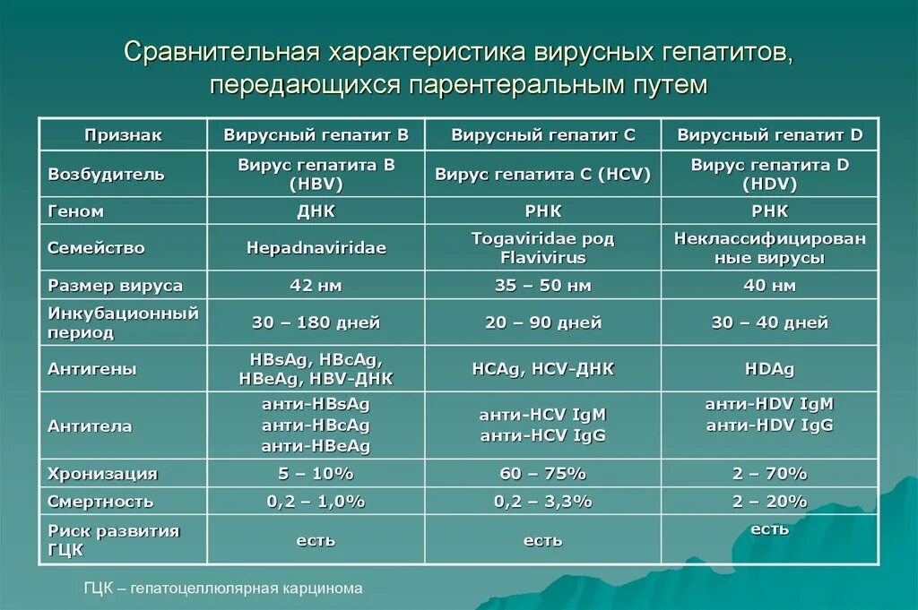 Вирусный гепатит характеристика