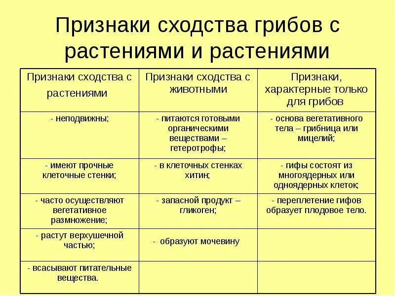 Отличия и сходства грибов с растениями и животными. Признаки сходства грибов с растениями и животными таблица. Сходство грибов с растениями и животными таблица 5 класс. Признаки сходства грибов с растениями таблица. Грибы имеют признаки животных