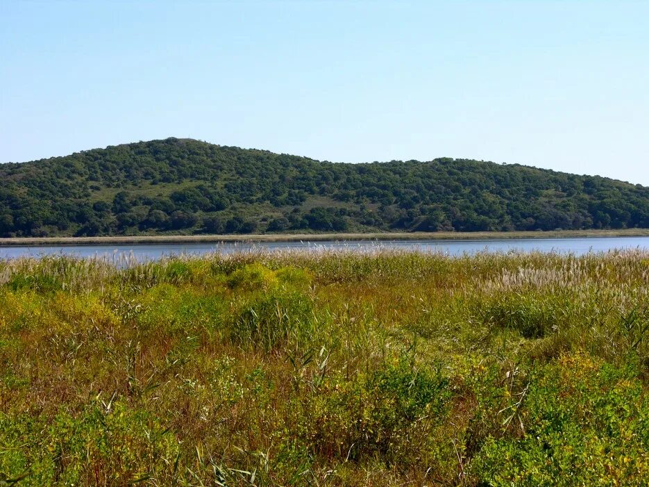 озеро птичье приморский край
