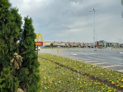 3 ий парк