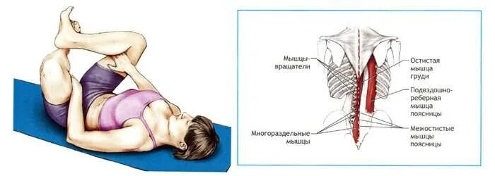 Потянул спину в пояснице. Подвздошно поясничная мышца спины. Растяжка подвздошно-поясничной мышцы. Растяжка подвздошно-поясничной мышцы упражнения.