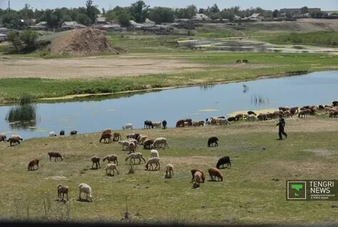 Үлкен семіз жопа порно