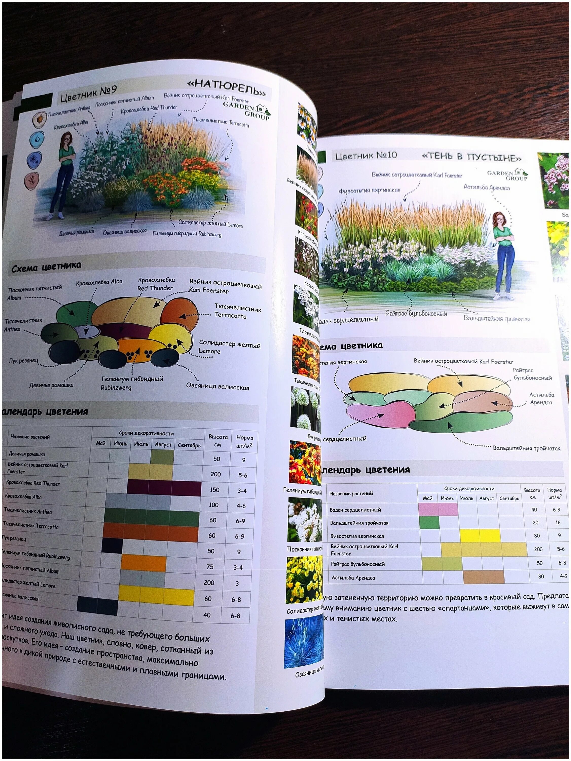 креативное портфолио дизайнера интерьера. хостел скворечник казань. книга альбом готовых решений цветников. станок для холодной ковки блэк эдишн узор н1. альбом готовых решений композиций цветников.