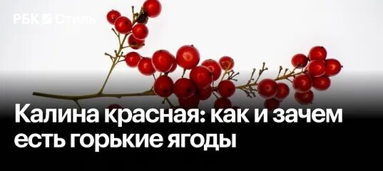 Читать горькие ягодки полностью. Калина красная: как и зачем есть горькие ягоды. Горькая ягода. Читать горькие ягодки.