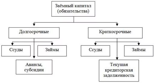 Заемный капитал банка. Классификация заемного капитала схема. Структура заемного капитала. Классификация заемного капитала организации. Составные части заемного капитала.