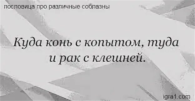Физиогномика характер по лицу. Высокий и низкий лоб. Пословицы про лоб. Черты лица человека. Фразеологизмы про нос.