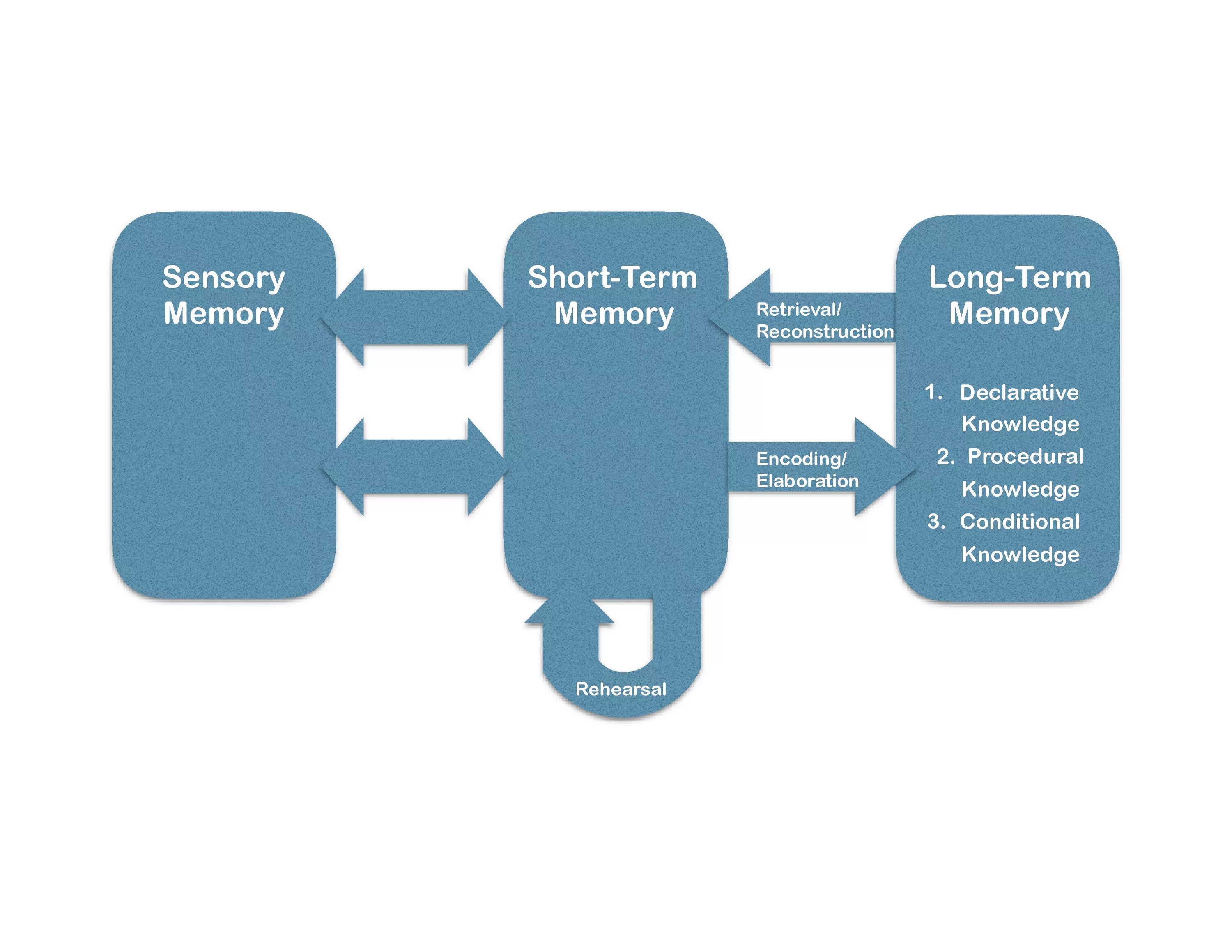 Short memory. Модальная модель. Long term Memory. Sensory Memory.