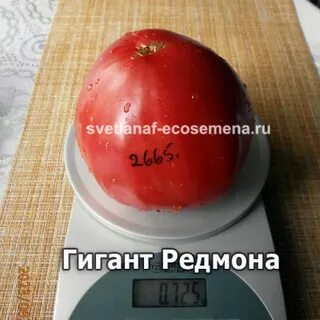 Редмон