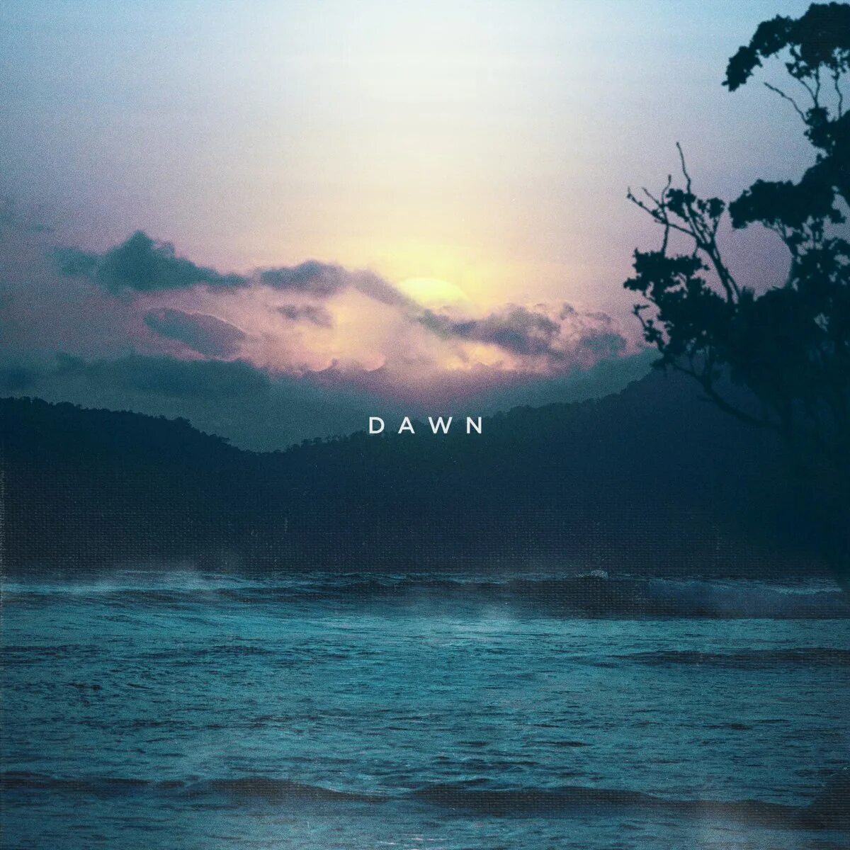 No tomorrow wolves at the. Wolves at the Gate Dawn. Wolves at the Gate - 2020 - Dawn. Counterfeit Wolves at the Gate. Мрачный лес.