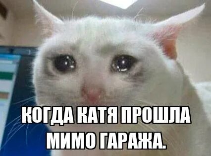Пройти кате