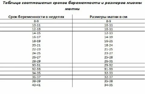 Ссылка размер дата