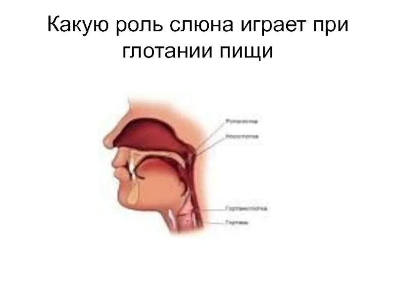 Дискомфорт при глотании.