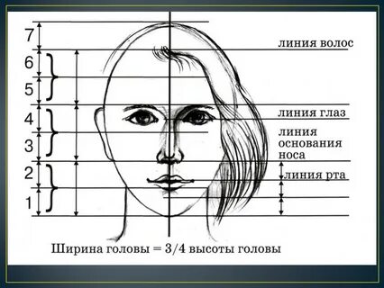 Каким образом соотносится в портрете личности