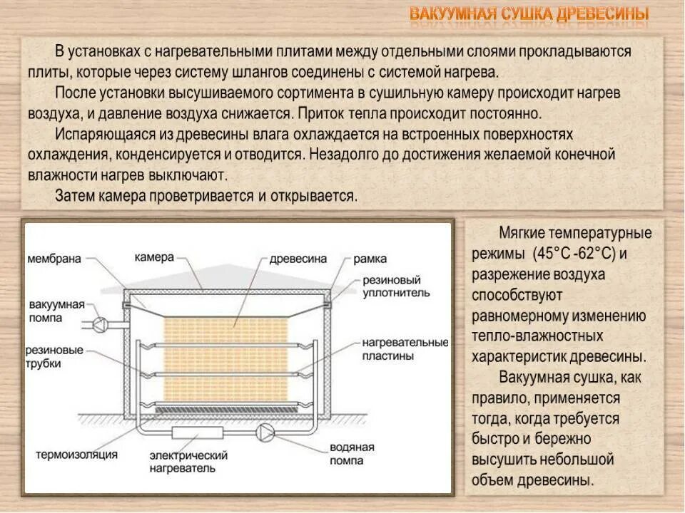 Сушка древесины в сушильных камерах технология. Технология сушки древесины в вакуумных сушильных камерах. Технология сушильной камеры для древесины. Техпроцесс сушки древесины.