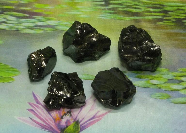 Какой камень добывают в карелии кроме шунгита. Аспид шунгит. Шунгит черный минерал. Карельский шунгит. Шунгит камень в природе.