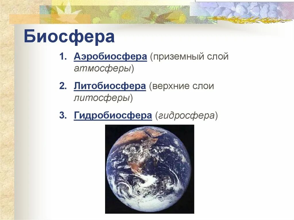 Атмосфера возникла позже биосферы. Аэробиосфера Гидробиосфера литобиосфера. Слои биосферы Аэробиосфера. Приземный слой атмосферы. Слои атмосферы Биосфера.