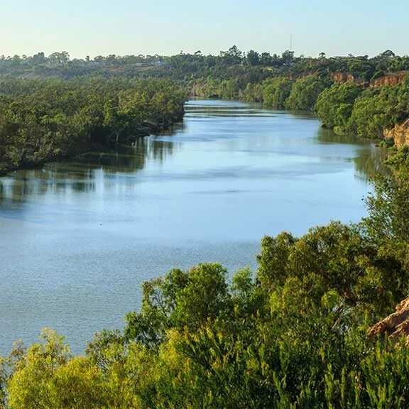 Дарлинг приток. Приток реки Муррей. Река Дарлинг. Реки Дарлинг и Муррей. Река Дарлинг в Австралии.