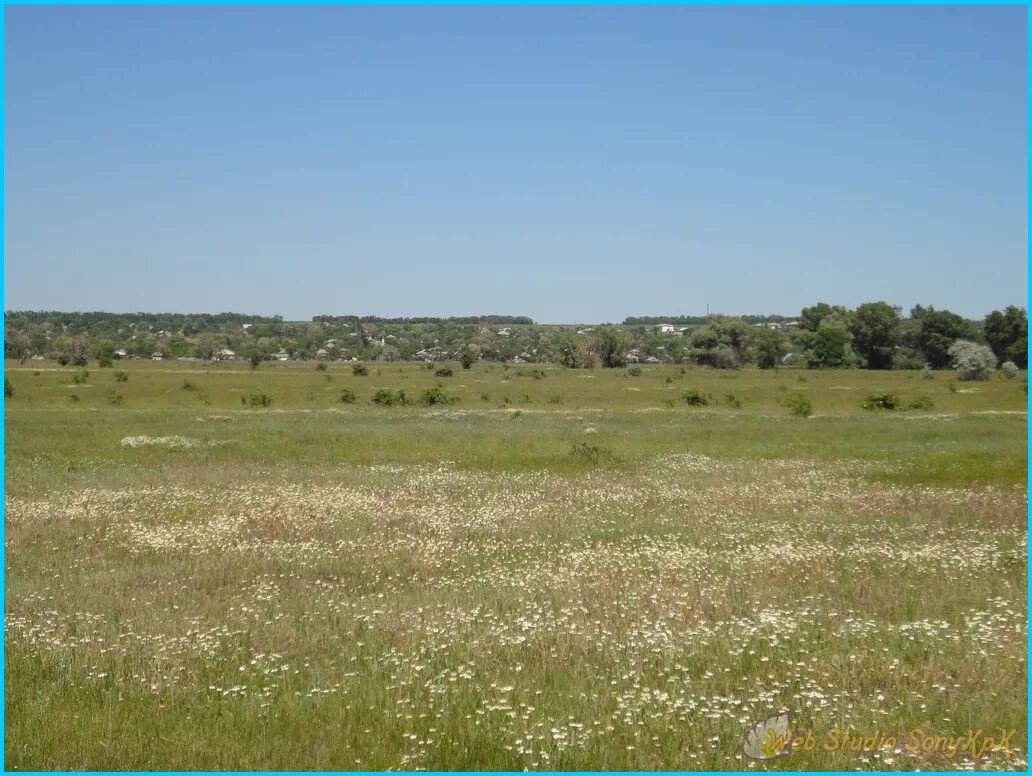 Тенгинская курганы. Грязнов станица тенгинская. Станица алексее тенгинская. Специальная школа-интернат станицы тенгинской краснодарского края. Станица тенгинская усть-лабинский район.