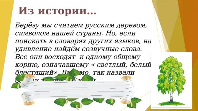 Береза очень созвучна русской природе впр. Береза - главное дерево России, символ нашей страны. Береза созвучна русской. Родной русский язык тема у земли ясно солнце у человека слово. Рассказ береза 1 класс русский язык.