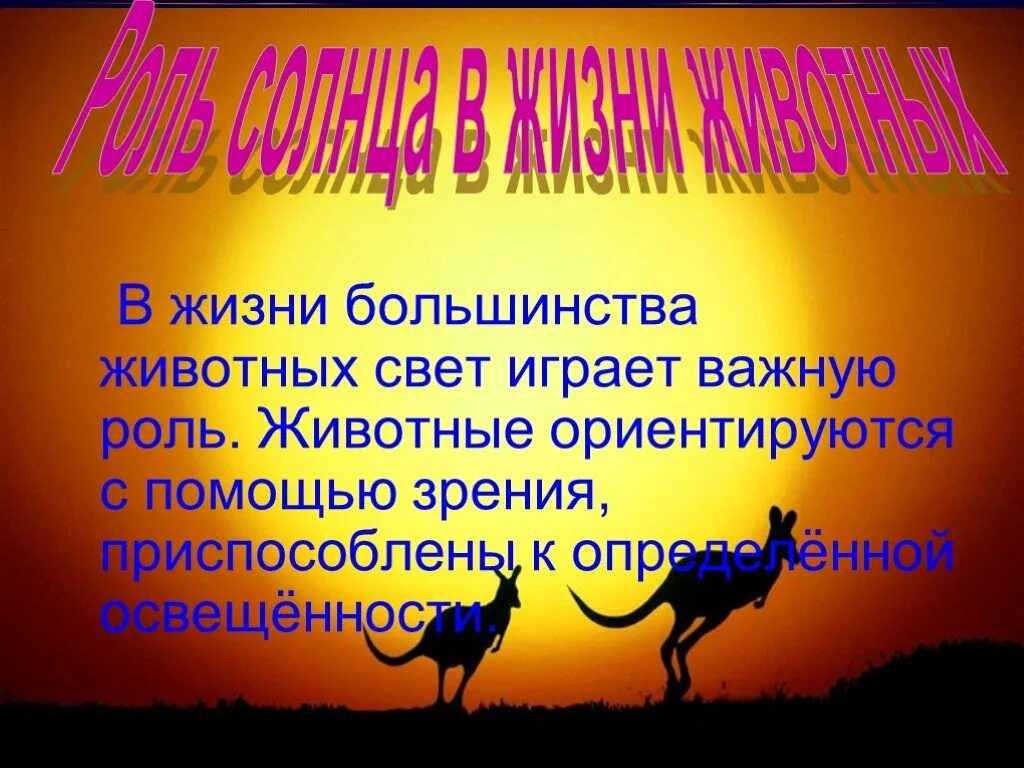 Роль светы в жизни растений. Роль солнца в жизни животных. Роль света в жизни животных. Роль света в жизни растений и животных. Влияние солнца на животных.