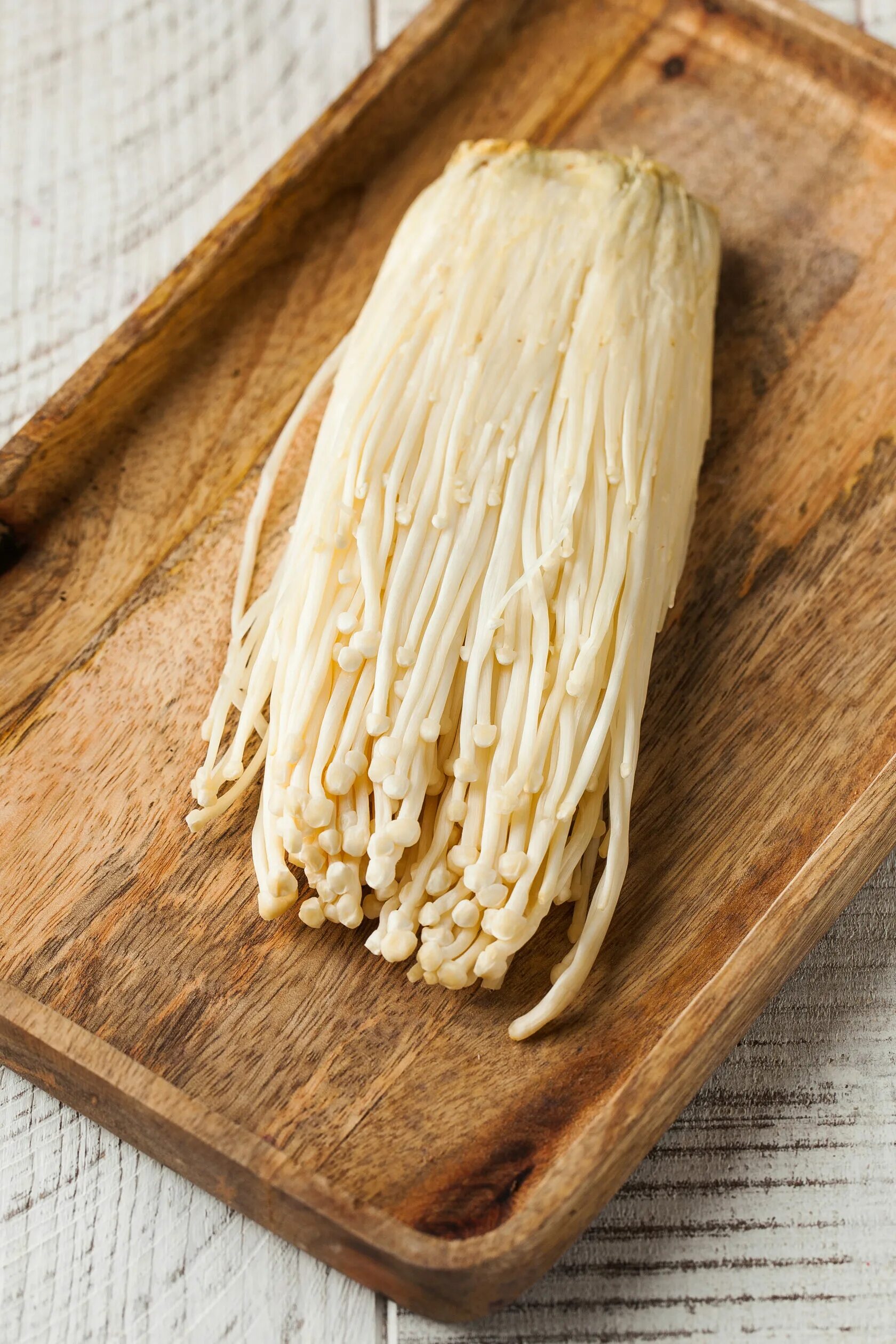 золотой эноки гриб. корейские грибы эноки. грибы эноки где. грибы эноки где. японские грибы энокитаке.