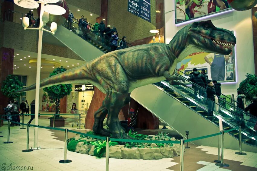 динозавры детский центр. парк динозавров в москве на лубянке.
