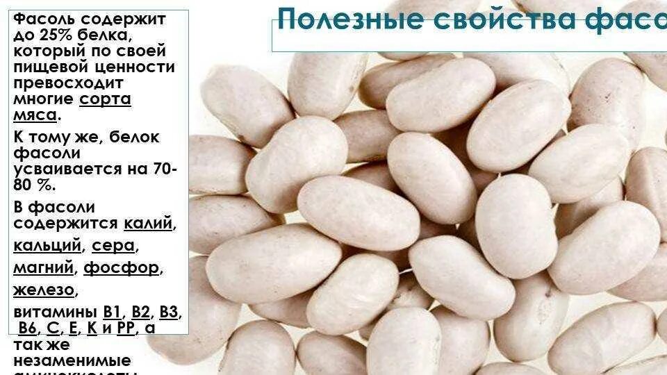Какие прилагательные можно подобрать к слову фасоль. Фасоль полезные свойства. чем полезна фасоль. чем полезна белая фасоль. фасоль белая.