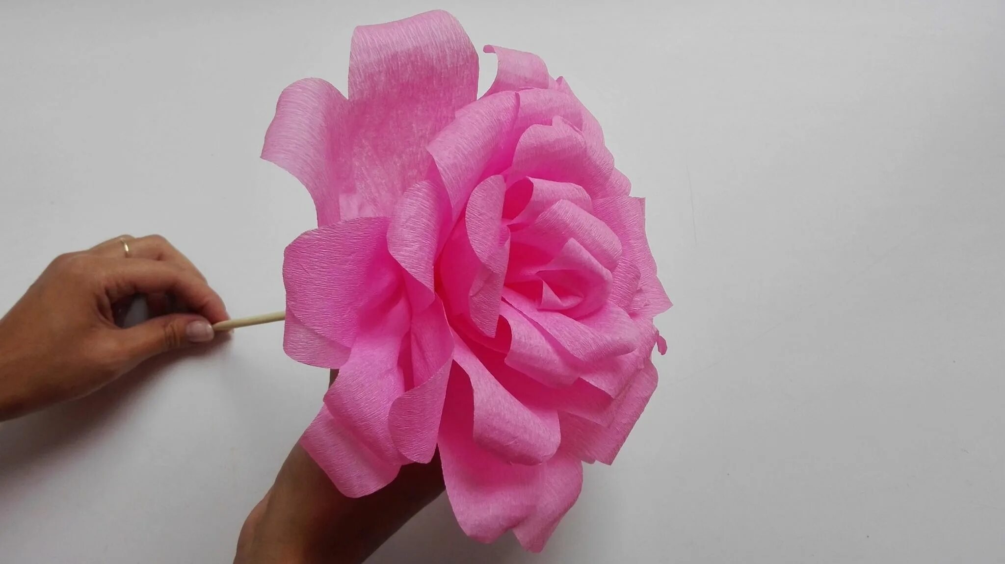 креповая бумага технология. лист тюльпана из гофробумаги. цветы из гофрированной бумаги. цветы из креповой бумаги. креповая бумага технология.