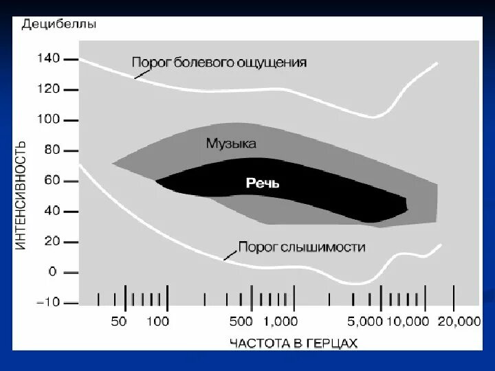 Слуховые пороги. Порог слышимости и болевой порог. Пороги слышимости и болевого ощущения. Болевой порог слышимости. Область слышимости человека.