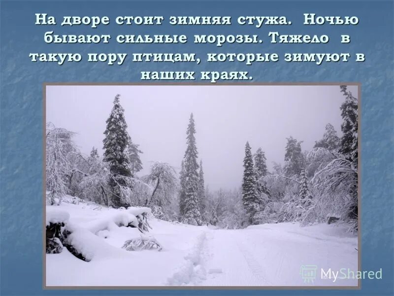 зимняя стужа. стоит зимняя стужа. стоит зимняя стужа. стужа зимой. морозная стужа.