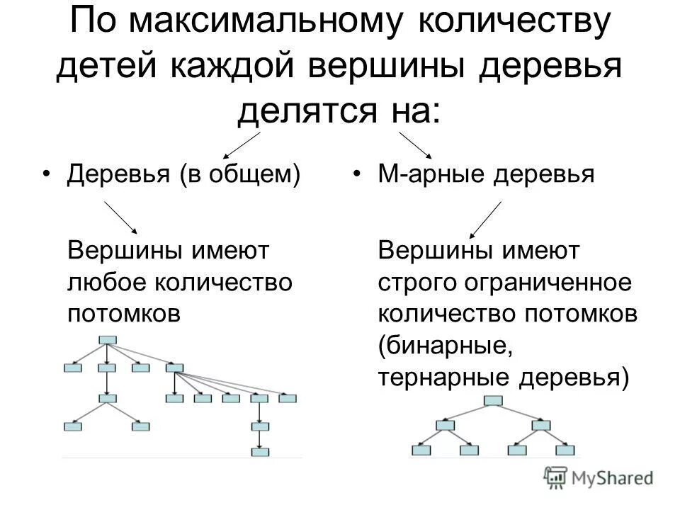 Найдите определение в предложениях по вершинам деревьев. Найдите определение в предложениях по вершинам деревьев