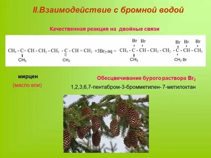 С бромной водой реагирует