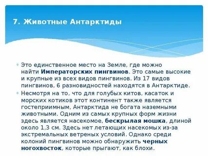 Первый мореплаватели увидевшие пингвинов в антарктиде