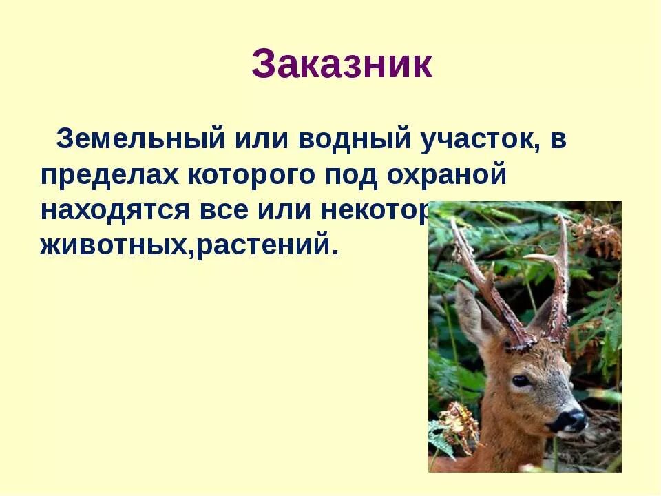 охраны заказников. охрана животных заповедники. заповедные зоны алтайского края. задачи заказников. заказники для животных.