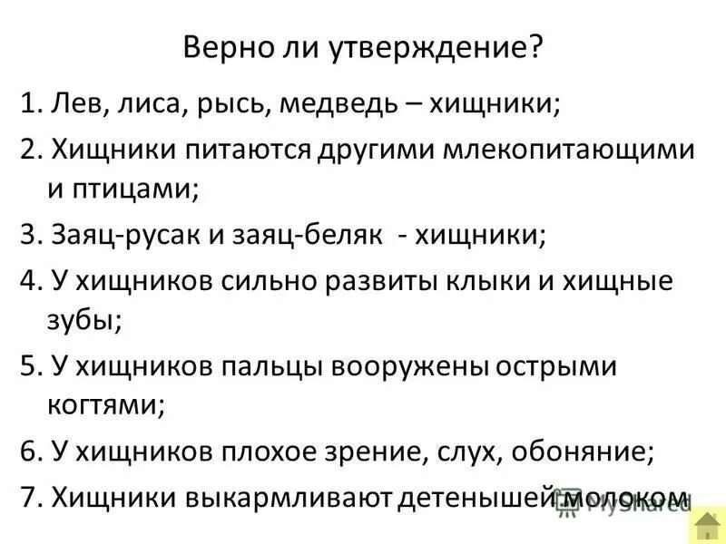 характеристика отряда хищные. признаки хищных.