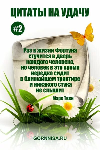 Удача в жизни сыну. Цитаты про удачу. Высказывания про удачу. Афоризмы про удачу. Афоризмы про удачу и везение.