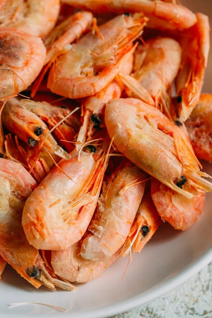 морепродукты оптом. креветочная на рубинштейна меню цены.