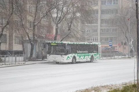 72 автобус благовещенск