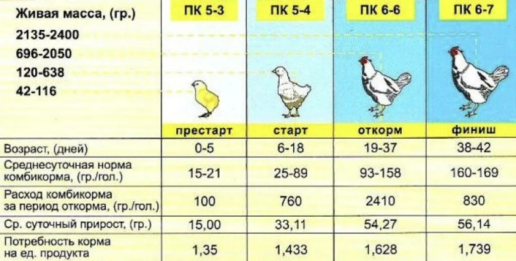 Сколько дней кормить бройлеров стартом. Схема откорма бройлеров комбикормами. Норма расхода корма для бройлеров до убоя таблица. Таблица кормления цыплят бройлеров. Нормы кормления кур бройлеров комбикормом.