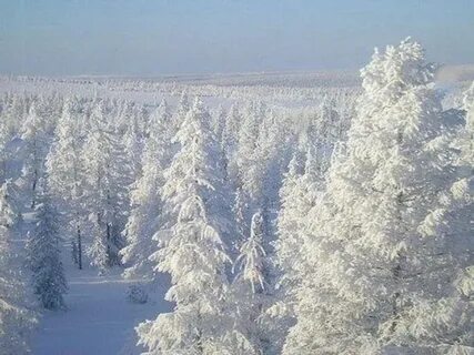 Якутия зима видео