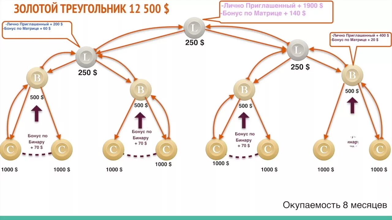 Золотой треугольник. Золотой треугольник (наркоторговля). Золотой треугольник в голове. Соотношение золотого треугольника.