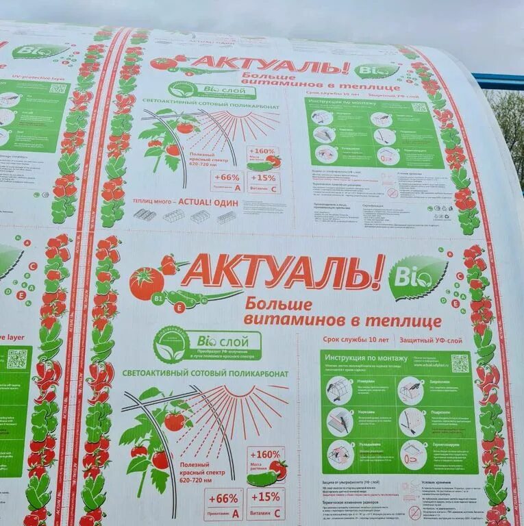 Сотовый поликарбонат актуаль био