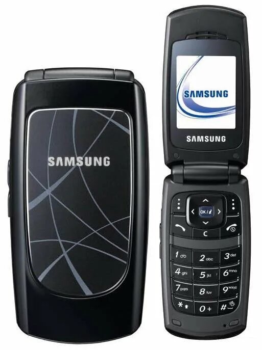 Samsung sgh купить. Samsung SGH x160. Раскладушка Samsung x160. Раскладушка Samsung SGH-x160.. Самсунг SGH x200 раскладушка.