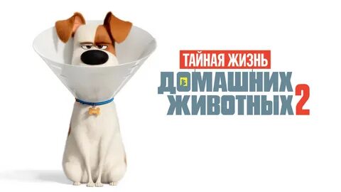 Жизнь дом жив 2