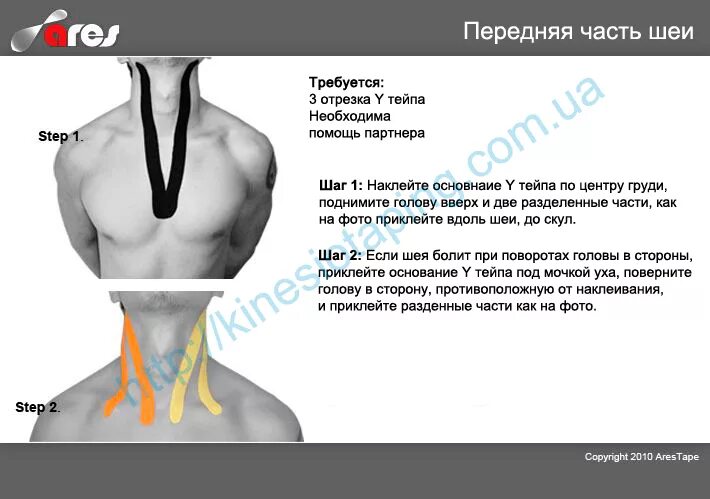 Кивательная мышца шеи анатомия. Болит шея спереди при надавливании. Лопаточно-подъязычная мышца функции. Мышцы шейно-воротниковой зоны анатомия. Мышцы шеи атлас синельникова.