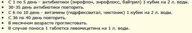 Чем прюпропоить цыплят. Чем пропоить цыплят в первые дни. Чем пропаивают цыплят в первые дни жизни в домашних условиях. Пропаивать цыплят с 1 дней жизни в домашних условиях.