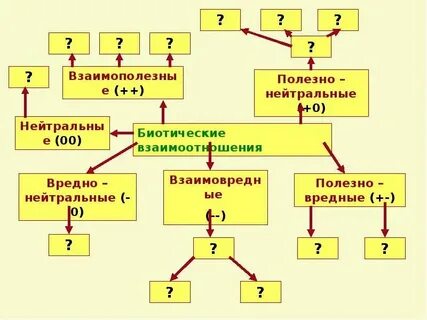 Биотические связи уровень организации