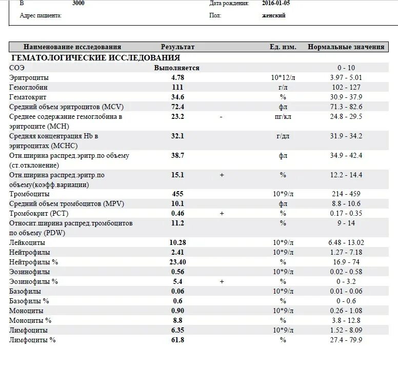 Анализ мснс повышен. Палочкоядерные лейкоциты норма. Лейкоциты понижены.